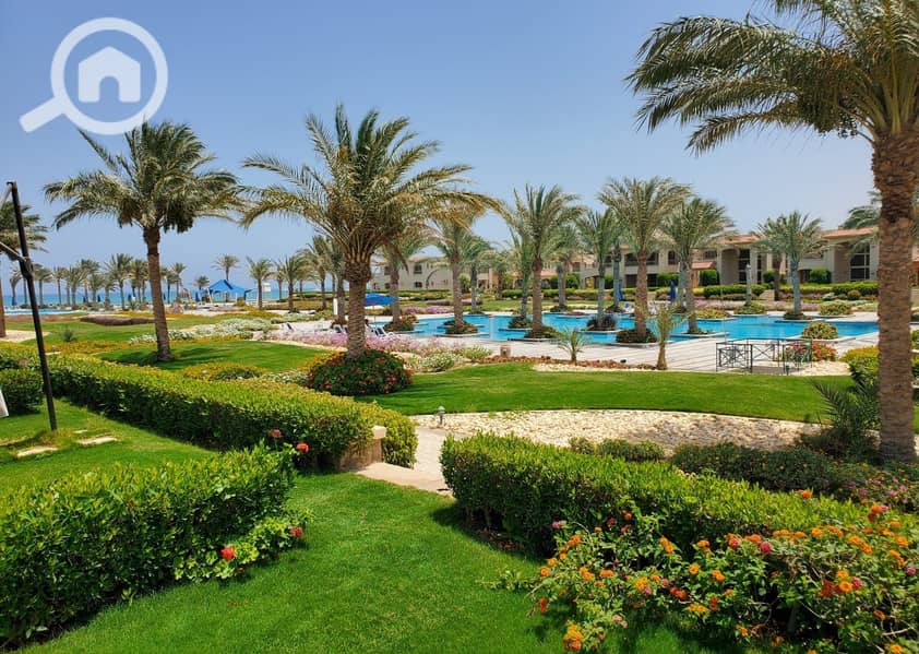 6 492270809_10231254283715093_6119005747277001569_n. jpg