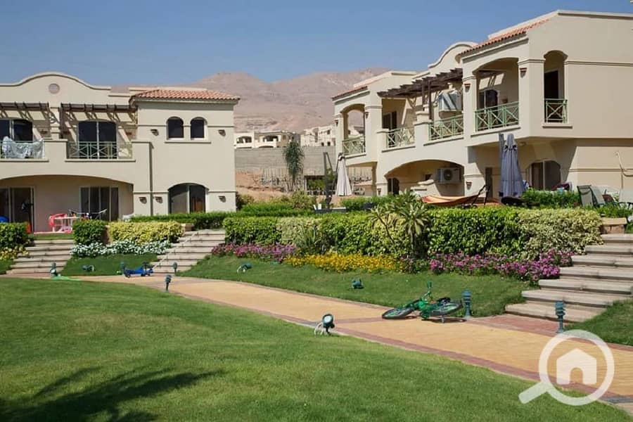 10 505506405_2964983933661848_8960042790485942776_n. jpg