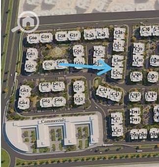 10 484337296_3559742607655726_2740881590247078227_n. jpg