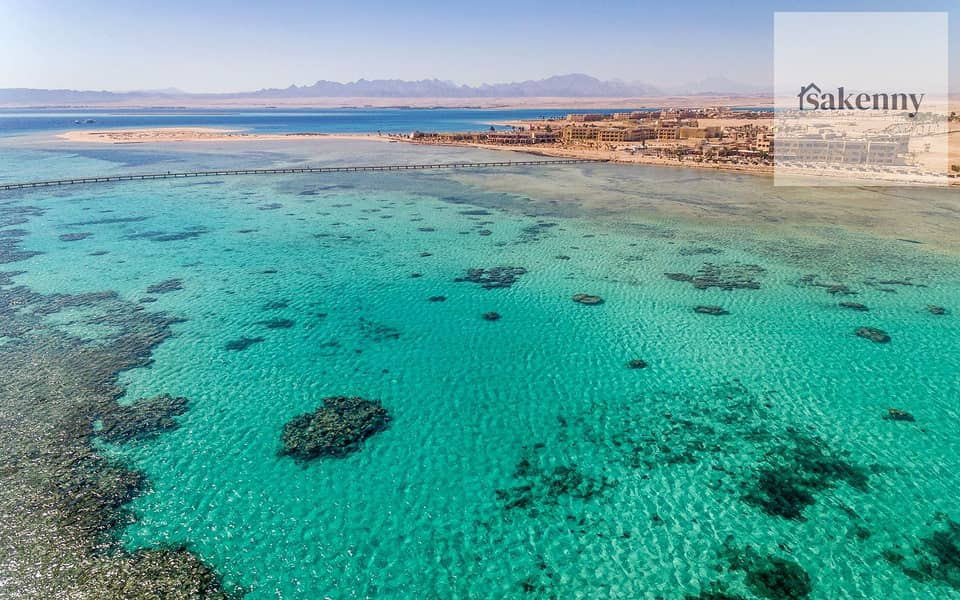 12 soma-bay-egypt. jpg