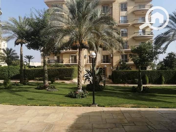 3 FB_IMG_1642765622522. jpg