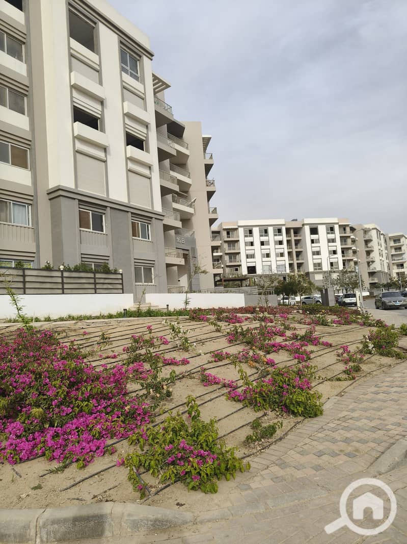 5 533396798_4062053017417527_6287174703323794744_n. jpg