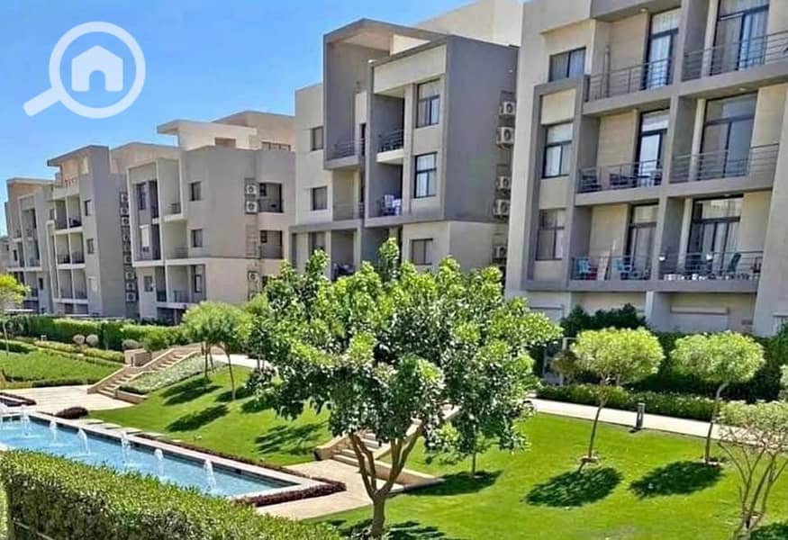 8 557611461_122160164516764430_2147579501119375501_n. jpg