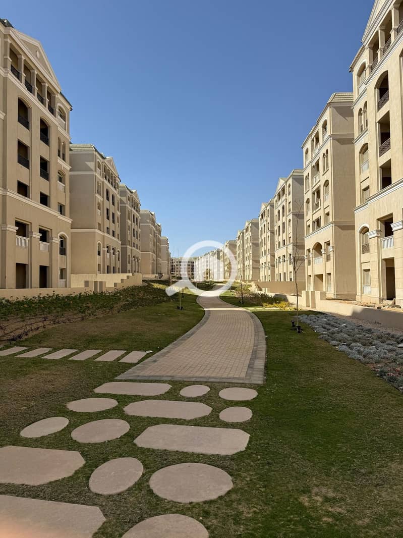 4 490242432_10161509981641409_3287936122337815834_n. jpg