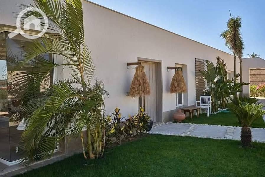 2 480243932_616910267990953_187512480634124874_n. jpg