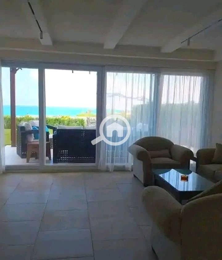 10 547361571_4075597376042973_2467004873515324024_n. jpg