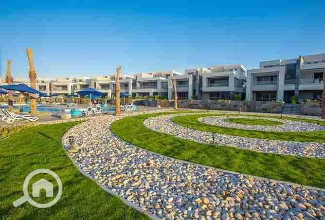 2 1807547-97b9co. webp