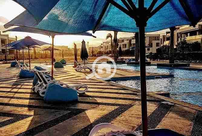 3 1807547-af635o. webp