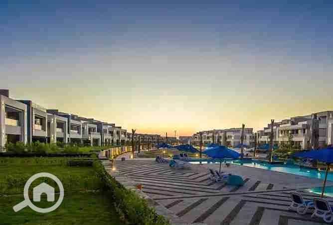 5 1807547-2dbe4o. webp