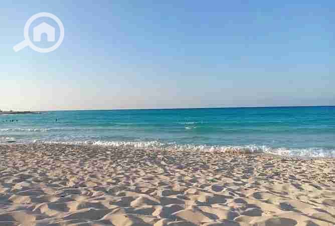 7 1807547-657e7o. webp