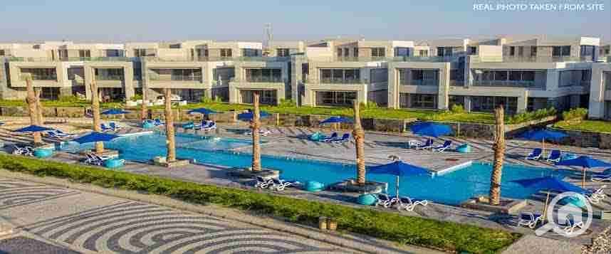 10 images (20). jpeg