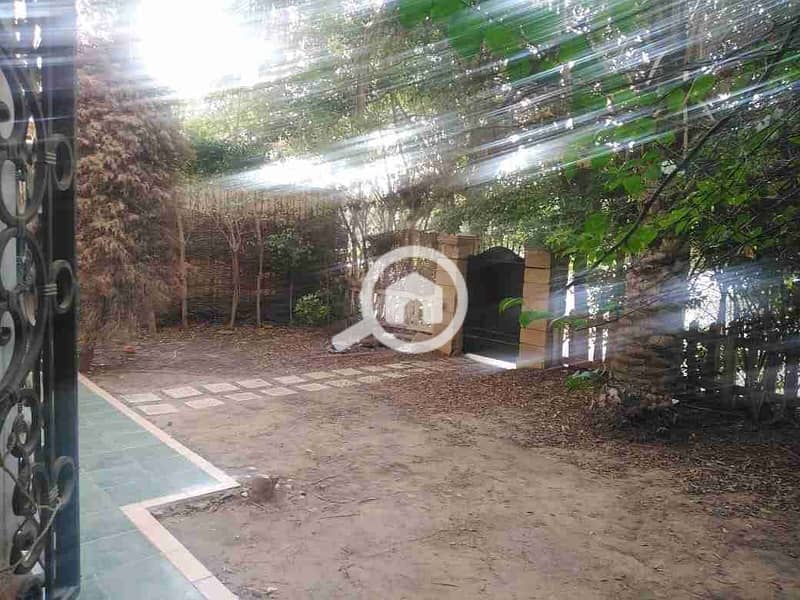 6 IMG-20251029-WA0019(1). jpg