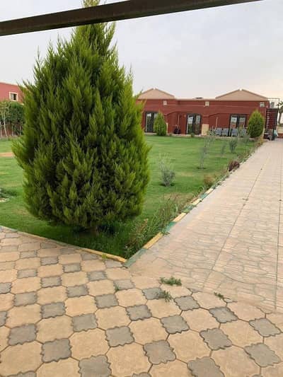 4 Bedroom Villa for Sale in Sheikh Zayed, Giza - لقطة للبيع فيلا ١٠٠٠ م بسعر شقة جولف السليمانية