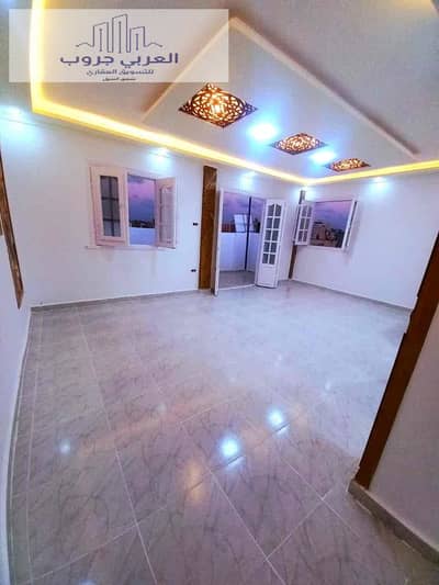 شقة 2 غرفة نوم للبيع في النخيل، الإسكندرية - be4cee2e-51c2-4fad-825f-5edba2b8bc26. jpg