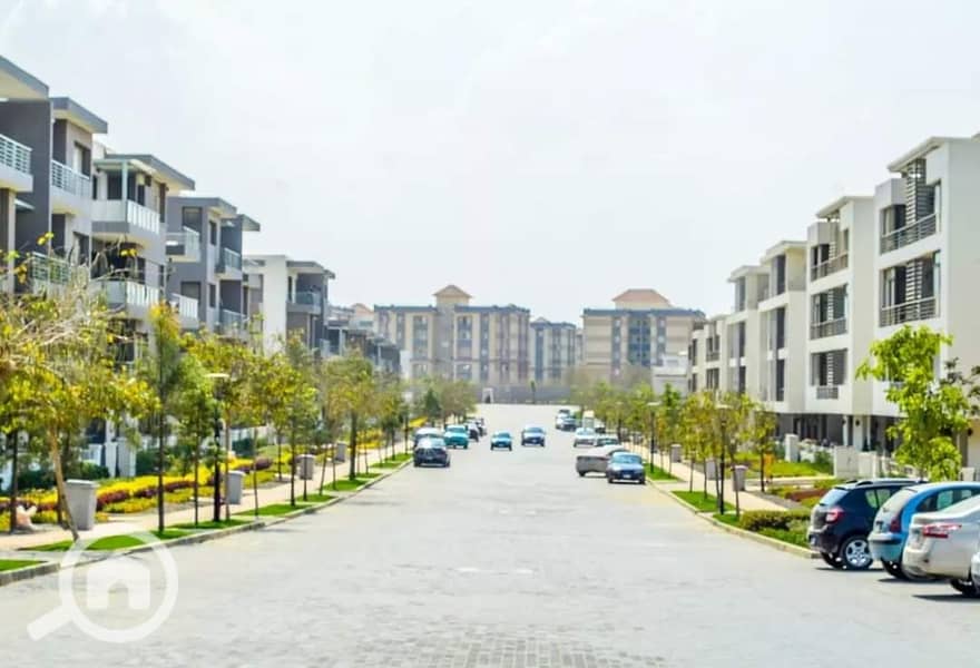 11 FB_IMG_1645028512665. jpg