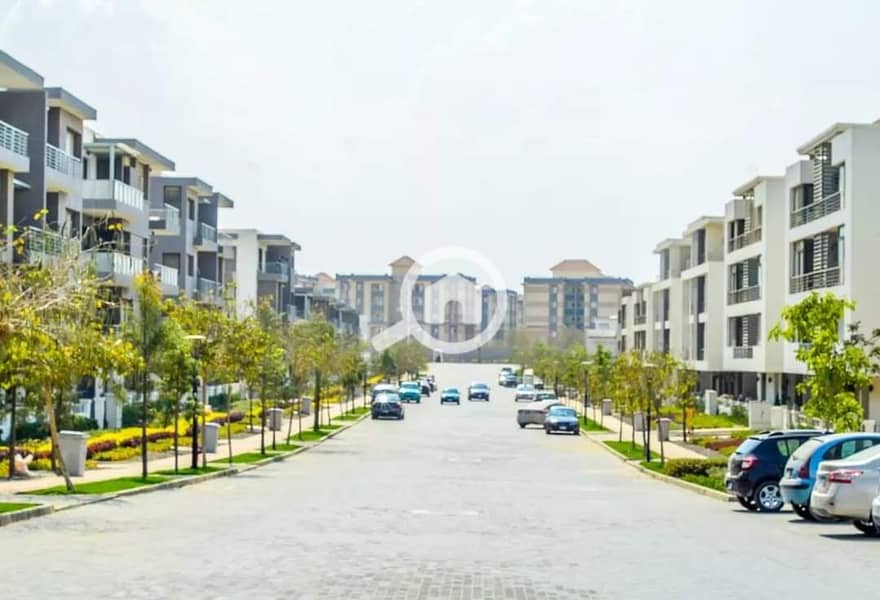 7 FB_IMG_1645028512665. jpg