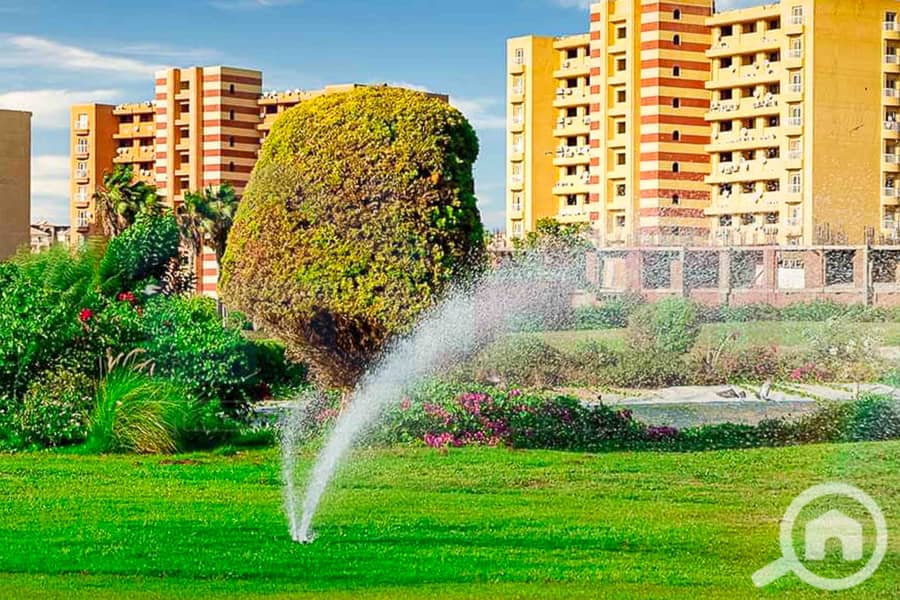 5 WhatsApp Image 2025-05-06 at 12.31. 22 PM (1). jpg