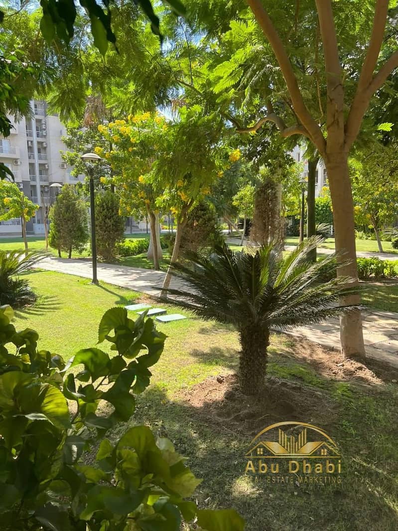 13 584faf86-1d90-4e3f-8985-056dd26282dd. jpg