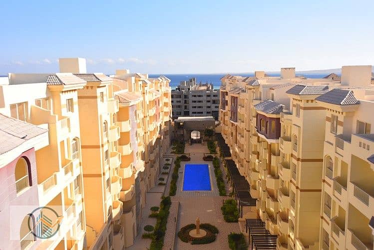 DSC_1750_d60e7_lg (1). jpg