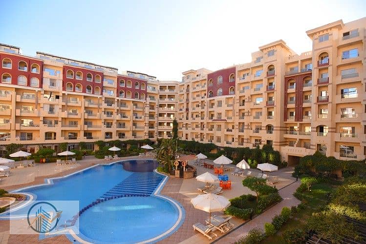 2 DSC_1704_d60e7_lg. jpg