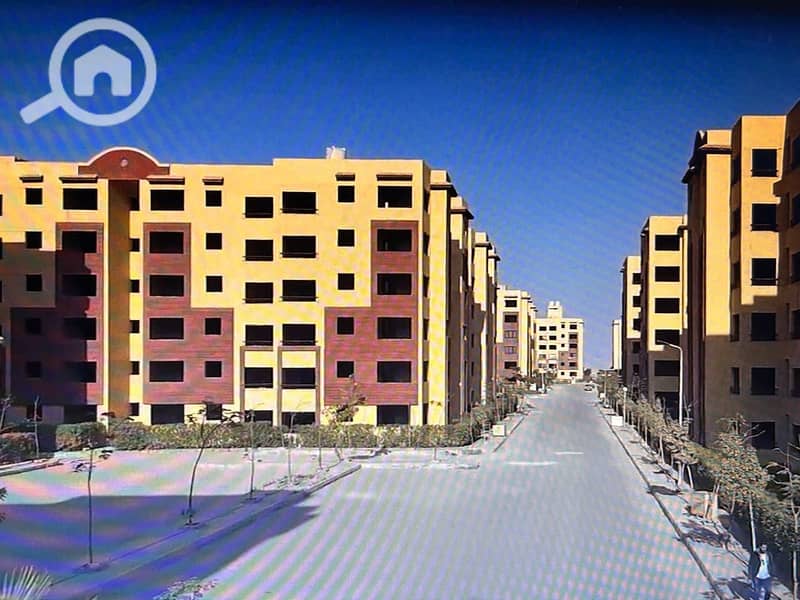 WhatsApp Image 2025-10-04 at 12.17. 36 AM. jpeg WhatsApp Image 2025-10-04 at 12.17. 36 AM. jpeg