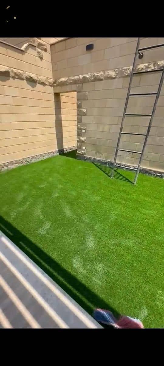 20 WhatsApp Image 2025-11-20 at 13.10. 11_6bc268a9. jpg