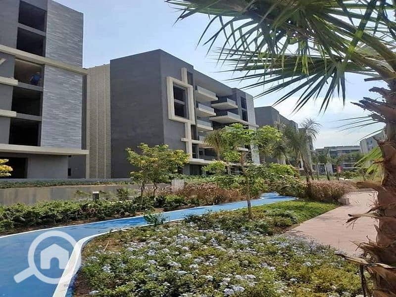 11 375219322_204363479313304_8016316637279758095_n. jpg