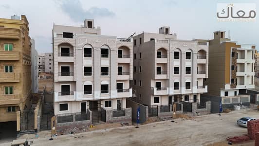 3 Bedroom Apartment for Sale in New Cairo, Cairo - WhatsApp Image 2024-12-10 at 1.56. 43 PM. jpeg 3 Bedroom Apartment for Sale in New Cairo, Cairo - WhatsApp Image 2024-12-10 at 1.56. 43 PM. jpeg