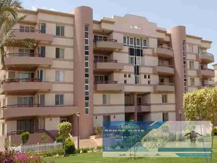 10 1 - Copy - Copy - Copy - Copy. jpg