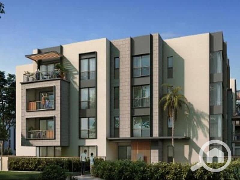 6 3434931-ef2dfo. jpg