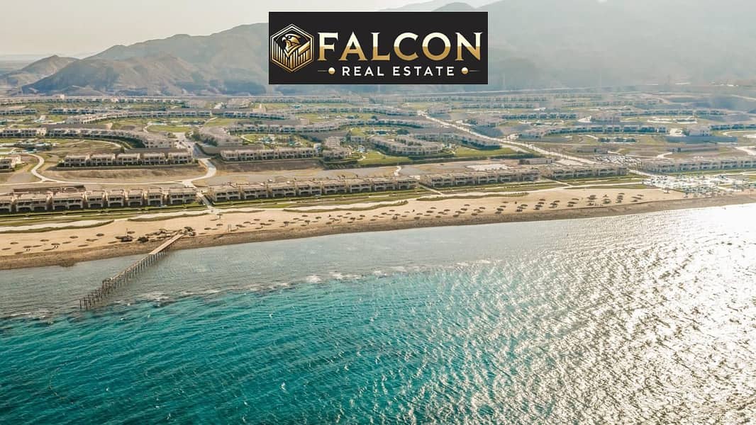 5 14569ab2-96fe-4597-aa97-8a2056d3ffd9. jpg