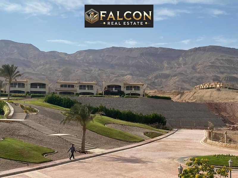 7 53935f67-fa8f-4b57-a1cd-e1ed1b8e43dd. jpg