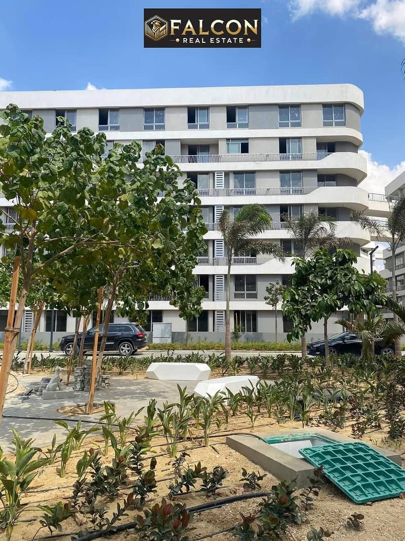 16 ce953ad7-abfe-49de-a1d2-47f36984f7cd. jpeg