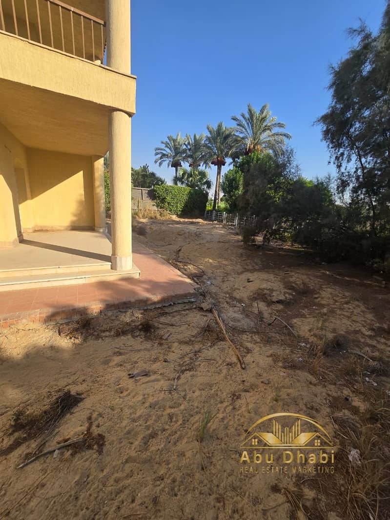 23 ec3d23a0-0d5c-421a-9315-0d67f2819051. jpg