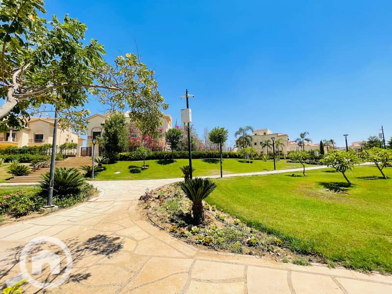 7 80f52966-a301-4edd-b989-9f3ba8b63de4. jpg