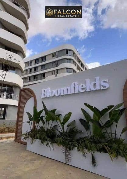 14 WhatsApp Image 2025-06-23 at 3.42. 59 PM. jpeg