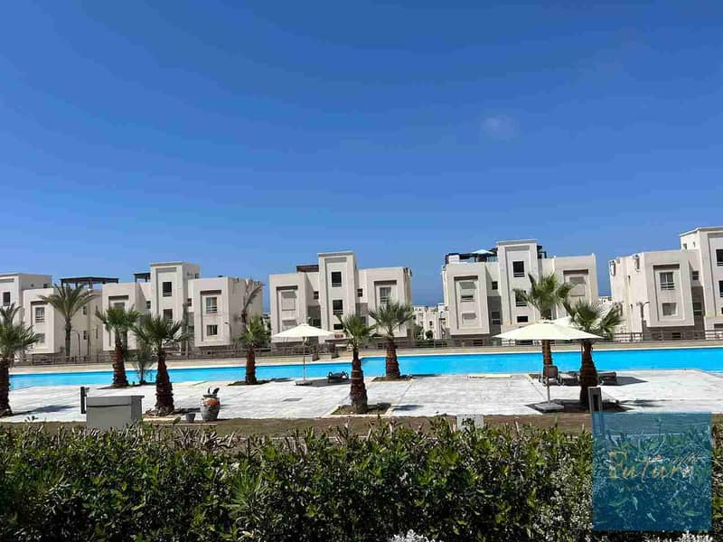 1001201588. jpg 1001201588. jpg