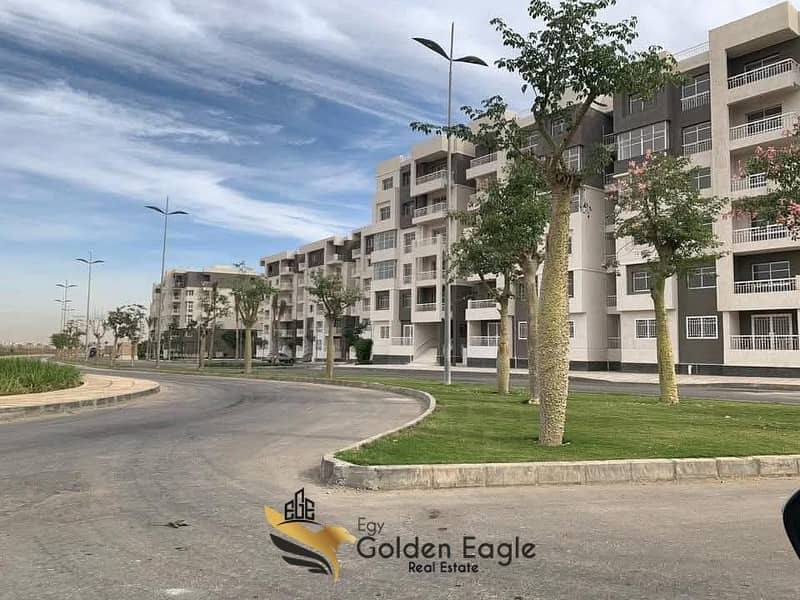 5 FB_IMG_1763813583362. jpg