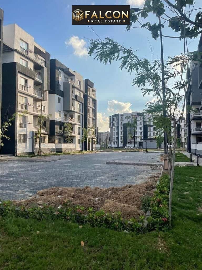 WhatsApp Image 2024-12-10 at 16.29. 59_df6def1c. jpg