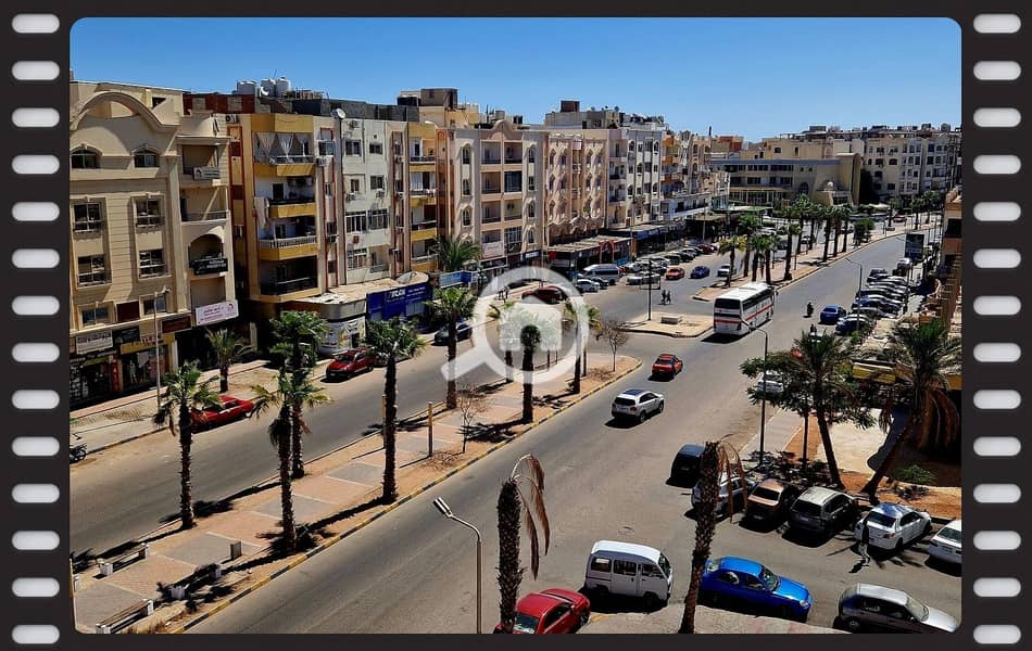 3 550458767_1241155794695154_8465546016890508448_n. jpg