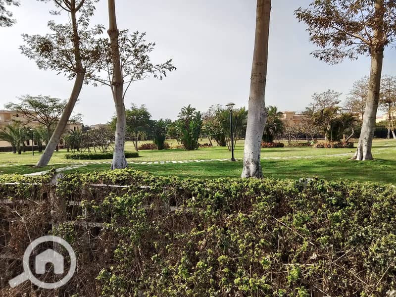 6 32cc7a64-15c5-4b8c-b907-c921ff3381ec. jpeg