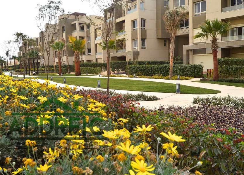 2 cbb5483e-5ec8-44bf-8b89-6cbf98fe52d7. jpeg