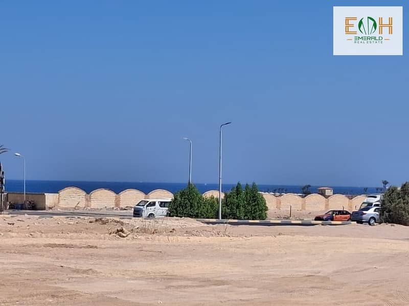 2 WhatsApp Image 2025-09-04 at 17.08. 37 (1). jpeg