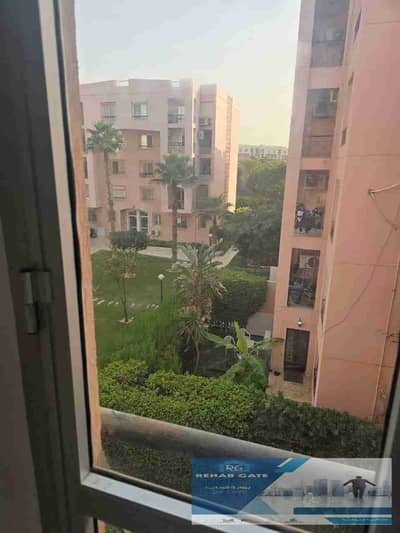 شقة 3 غرف نوم للايجار في القاهرة الجديدة، القاهرة - 1001402904. jpg