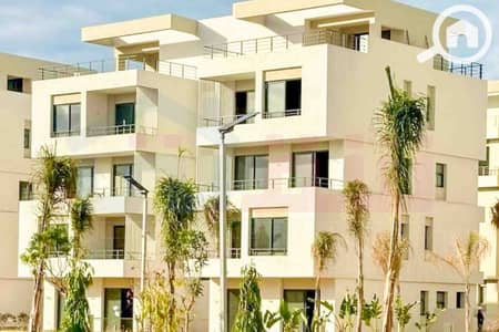 4 Bedroom Villa for Sale in Amreya, Alexandria - WhatsApp Image 2025-09-13 at 5.38. 37 PM. jpg