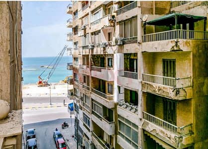 3 Bedroom Apartment for Sale in Mandara, Alexandria - WhatsApp Image 2025-11-03 at 11.31. 38 AM (3). jpg
