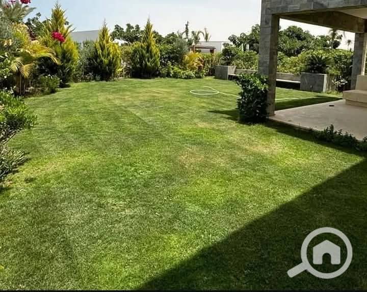 FB_IMG_1744513487780. jpg