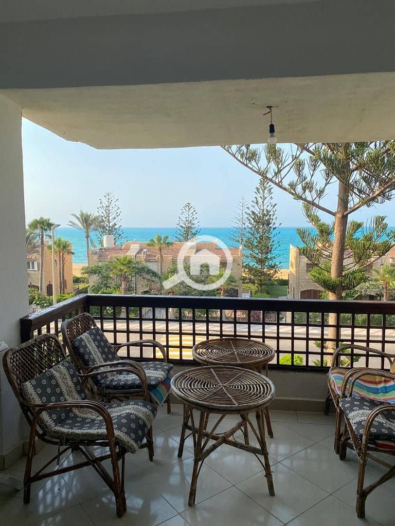 2 88481a69-c6c9-4f81-881a-247da15edcac. jpeg