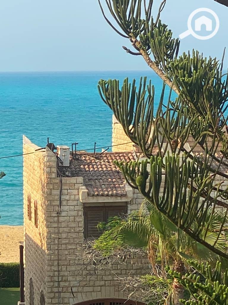 3 ec2709ab-1084-41af-9f84-29632cb0a366. jpeg