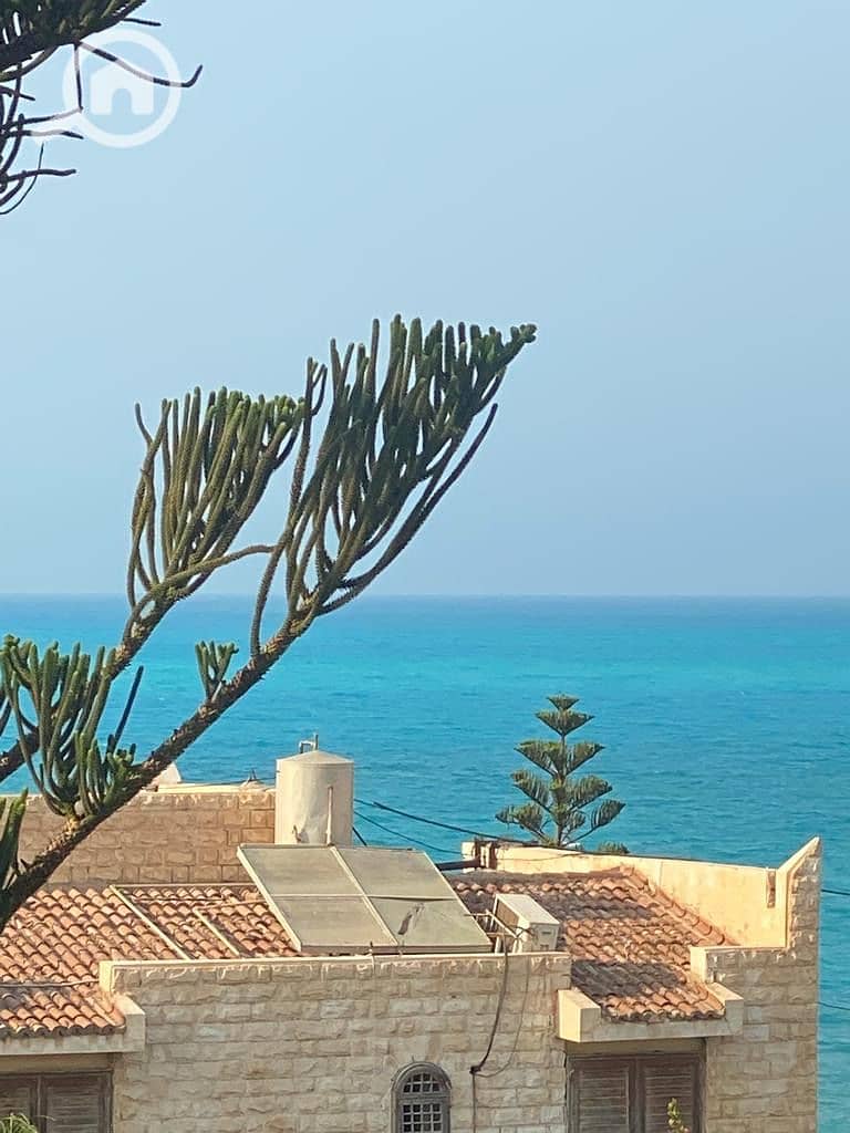 4 cd9ea8b9-d827-4e62-a8cb-e08cd4041ca4. jpeg